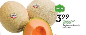 Sobeys Cantaloupe offer