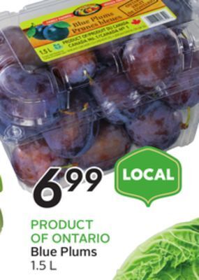 Sobeys Blue plums offer