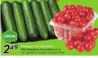 Sobeys Mini seedless cucumbers offer