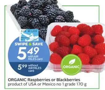 Sobeys Organic raspberries or blackberries offer