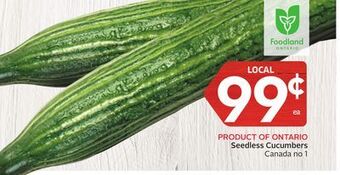 Foodland Seedless cucumbers canada no 1 offer