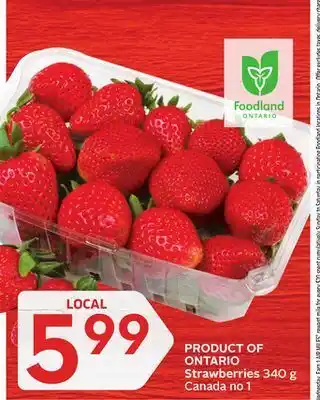 Foodland Product of ontario strawberries 340 g canada no 1 offer