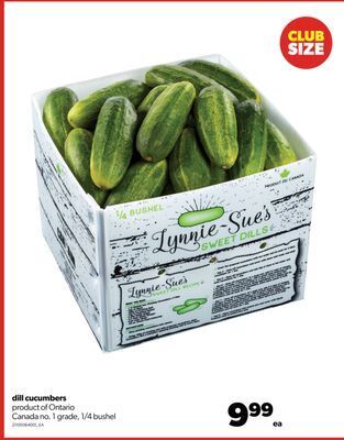 Real Canadian Superstore Dill cucumbers, 1/4 bushel offer