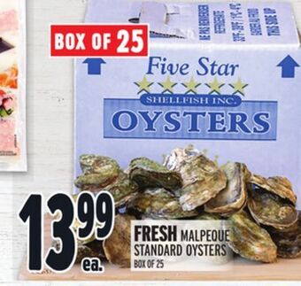 Metro Fresh malpeque standard oysters offer