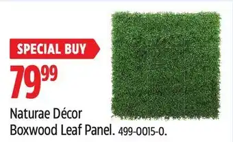 Canadian Tire Naturae decor boxwood leaf panel offer