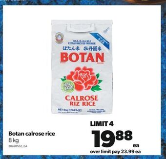 Real Canadian Superstore Botan calrose rice, 8 kg offer
