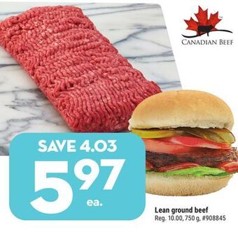Giant Tiger Lean ground beef offer