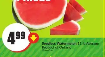 Chalo FreshCo Seedless watermelon 11 lb average product of ontario offer