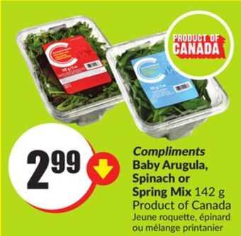 Chalo FreshCo Compliments baby arugula, spinach or spring mix 142 g product of canada offer