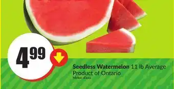 FreshCo Seedless watermelon 11 lb average product of ontario offer