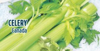 Marché Adonis Celery offer
