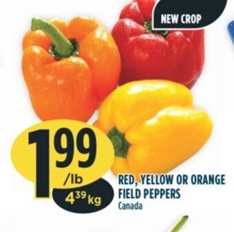 Marché Adonis Red, yellow or orange field peppers offer