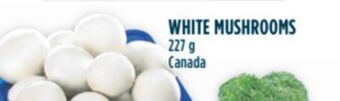 Marché Adonis White mushrooms offer