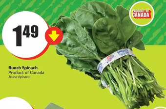 FreshCo Bunch spinach offer