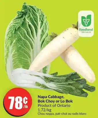 FreshCo Napa cabbage, bok choy or lo bok offer