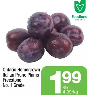 Highland Farms Italian prune plums freestone offer