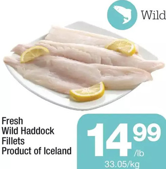 Highland Farms Fresh wild haddock fillets offer