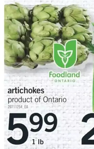 Fortinos Artichokes offer