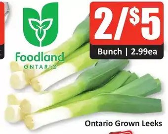 Starsky Ontario grown leeks offer