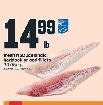 Independent City Market Fresh msc icelandic haddock or cod fillets offer