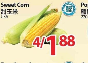 T&T Supermarket Sweet Corn offer