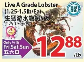 T&T Supermarket Live A Grande Lobster offer