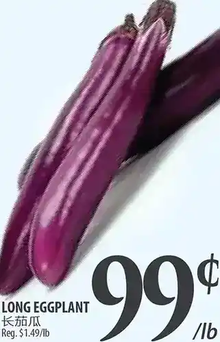 Al Premium Food Mart Long eggplant offer