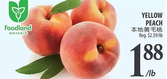 Al Premium Food Mart Yellow peach offer