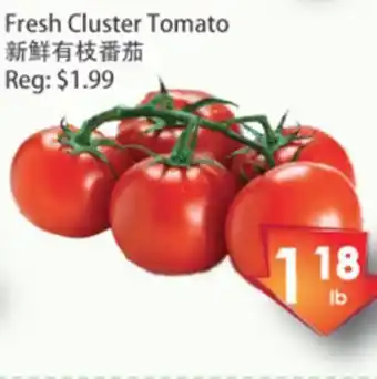 Fresh cluster tomato
