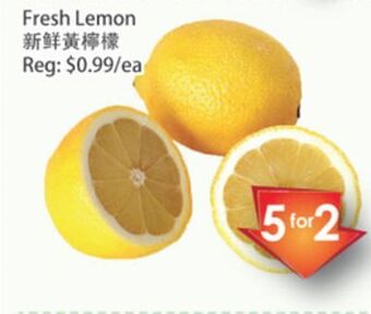 Fresh Palace Supermarket Fresh lemon offer