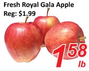Seasons Foodmart Fresh royal gala apple offer