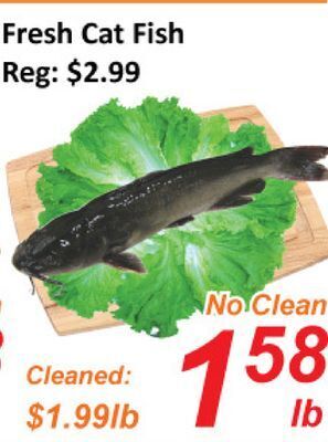 Seasons Foodmart Fresh cat fish offer