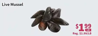 Blue Sky Supermarket Live mussel offer