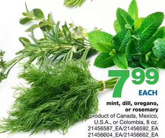 Wholesale Club Mint, dill, oregano or rosemary offer