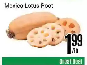 Nations Fresh Foods Mexico lotus root offer