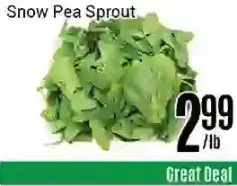 Nations Fresh Foods Snow pea sprout offer