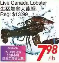 Foody World Live canada lobster offer
