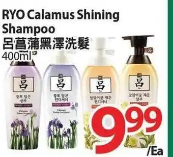 T&T Supermarket RYO Calamus Shining Shampoo offer