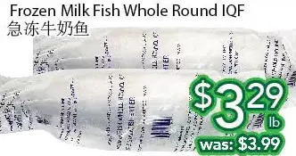 Ample Food Market Frozen milk fish whole round iqf offer