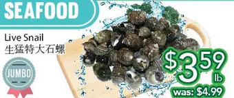 Ample Food Market Live snail offer