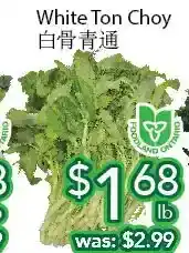 Ample Food Market White ton choy offer