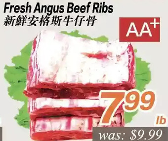 Fresh angus beef ribs