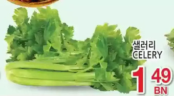 H-Mart Celery offer