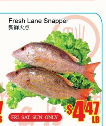 Fu Yao Supermarket Fresh Lane Snapper offer