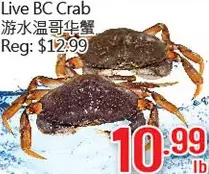 Hong Tai Supermarket Live bc crab offer