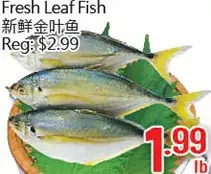 Hong Tai Supermarket Fresh leaf fish offer