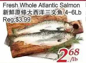 Tone Tai Supermarket Fresh whole atlantic salmon offer