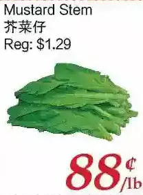Tone Tai Supermarket Mustard stem offer