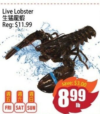 Field Fresh Supermarket Live Lobster offer