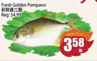 Field Fresh Supermarket Fresh Golden Pompano offer